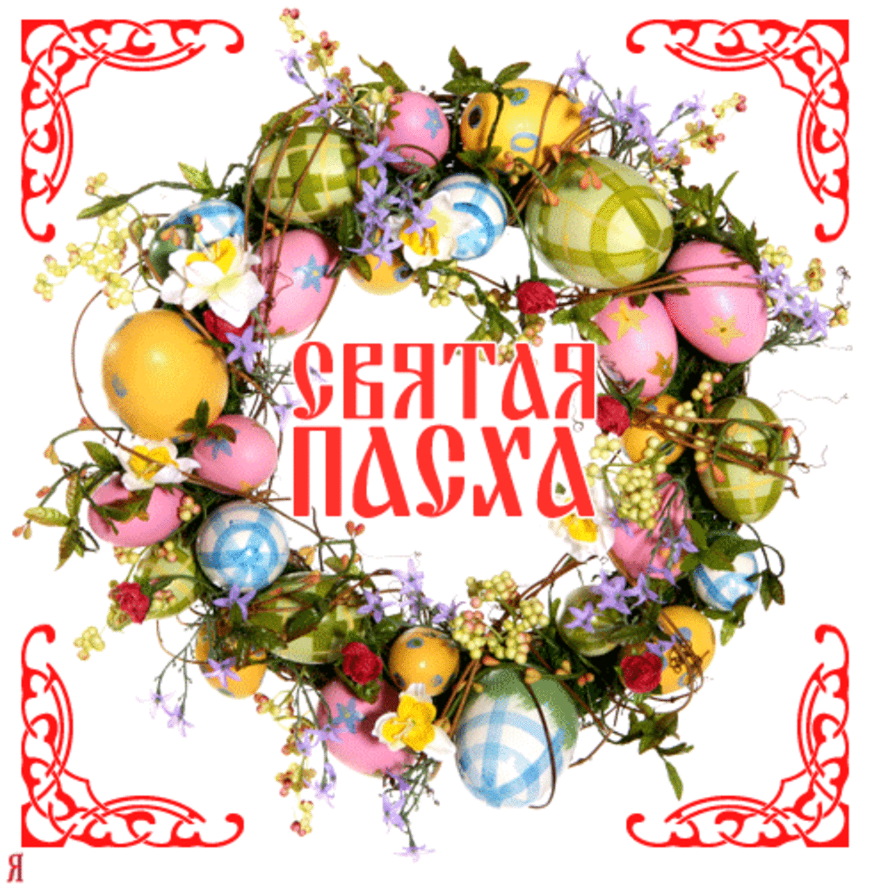 Хв картинки